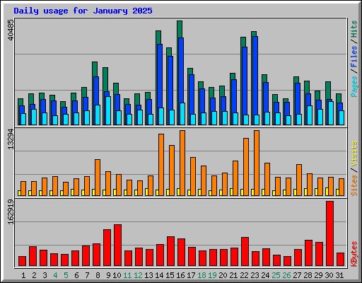 Daily usage for January 2025