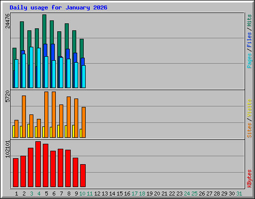 Daily usage for January 2026