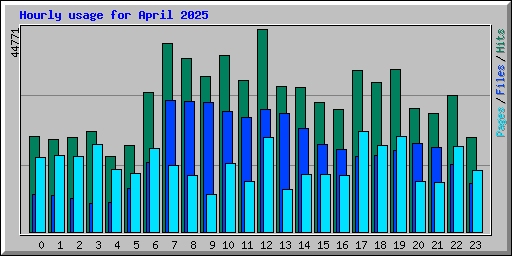 Hourly usage for April 2025