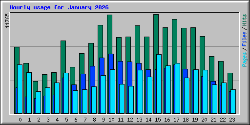 Hourly usage for January 2026