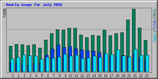 Hourly usage for July 2026