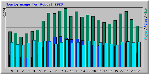 Hourly usage for August 2026